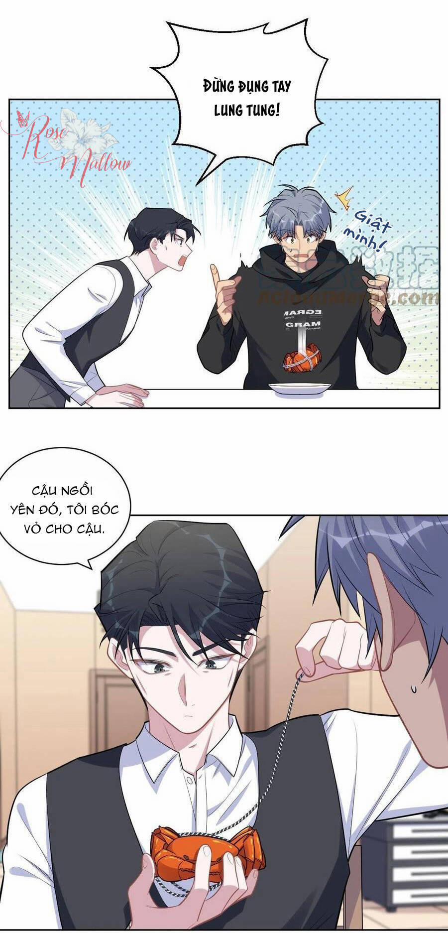 Cha Vợ Đại Nhân Là Bà Xã 172 trang 4