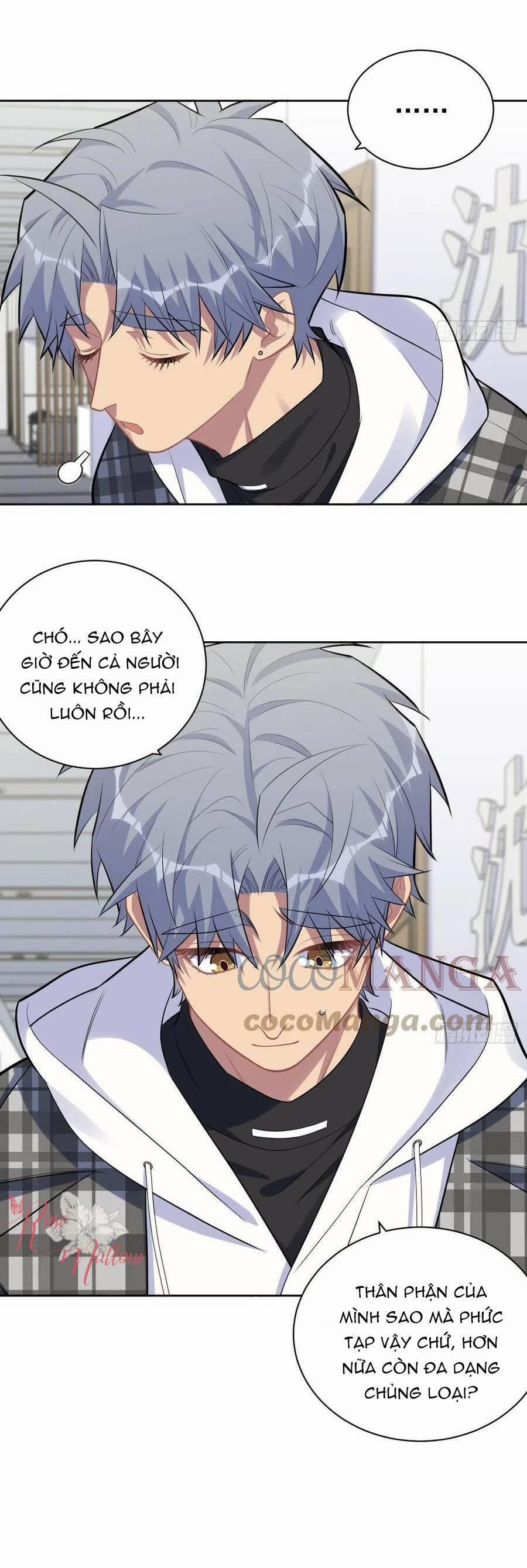 Cha Vợ Đại Nhân Là Bà Xã 173 trang 18