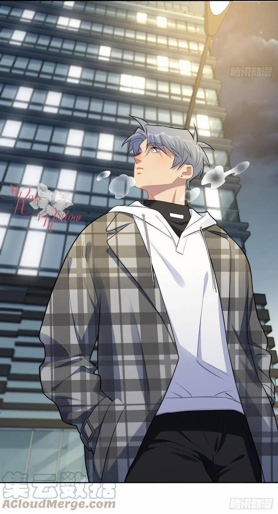 Cha Vợ Đại Nhân Là Bà Xã 174 trang 13