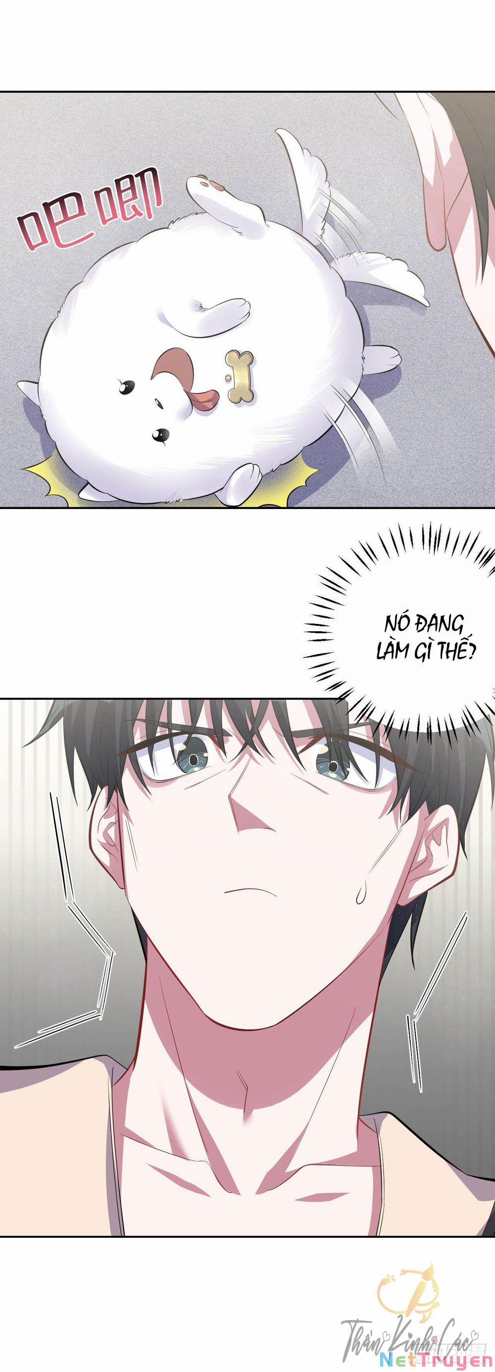 Cha Vợ Đại Nhân Là Bà Xã 27 trang 14