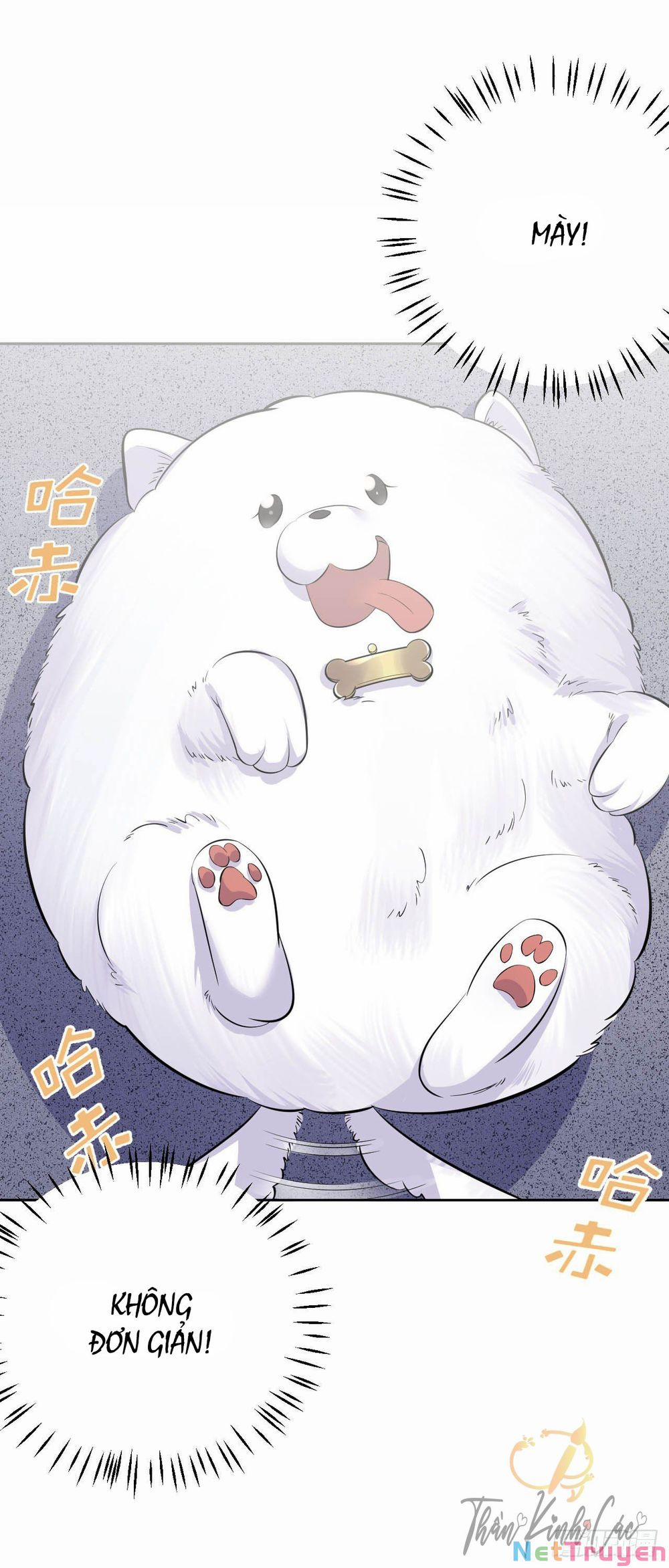 Cha Vợ Đại Nhân Là Bà Xã 27 trang 17