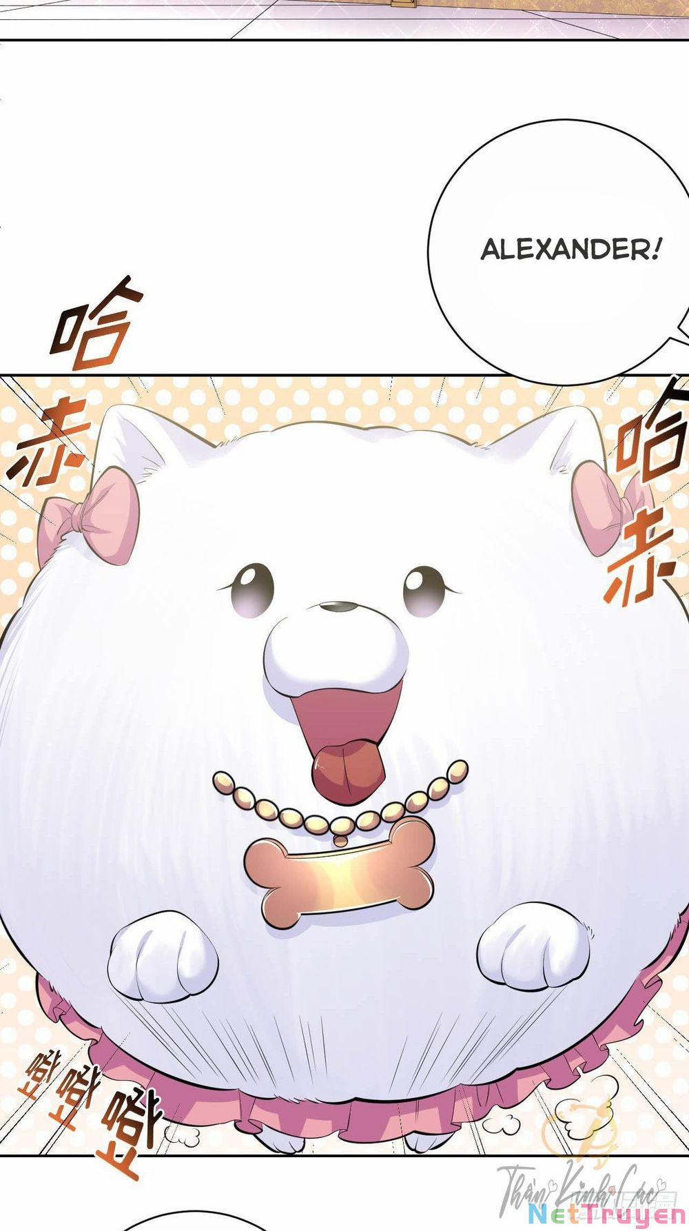 Cha Vợ Đại Nhân Là Bà Xã 28 trang 1