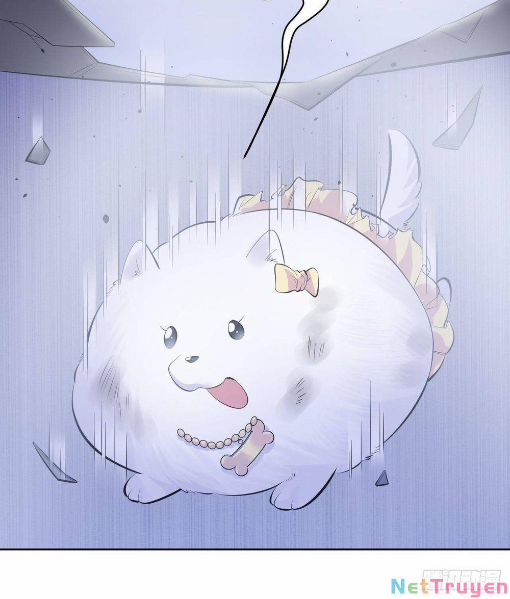 Cha Vợ Đại Nhân Là Bà Xã 34 trang 34