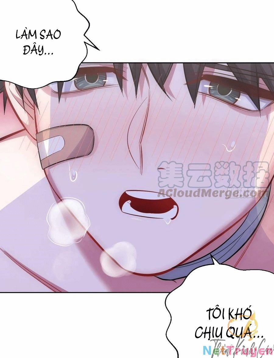 Cha Vợ Đại Nhân Là Bà Xã 53 trang 2