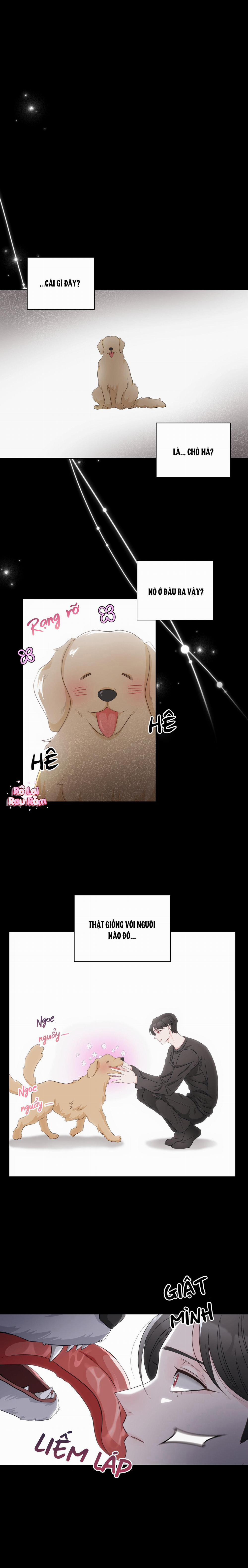 Chấm Hết 10 trang 0