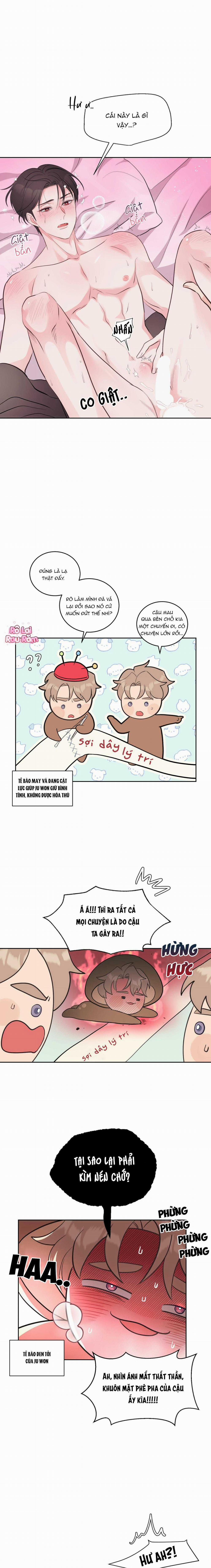 Chấm Hết 9 trang 5