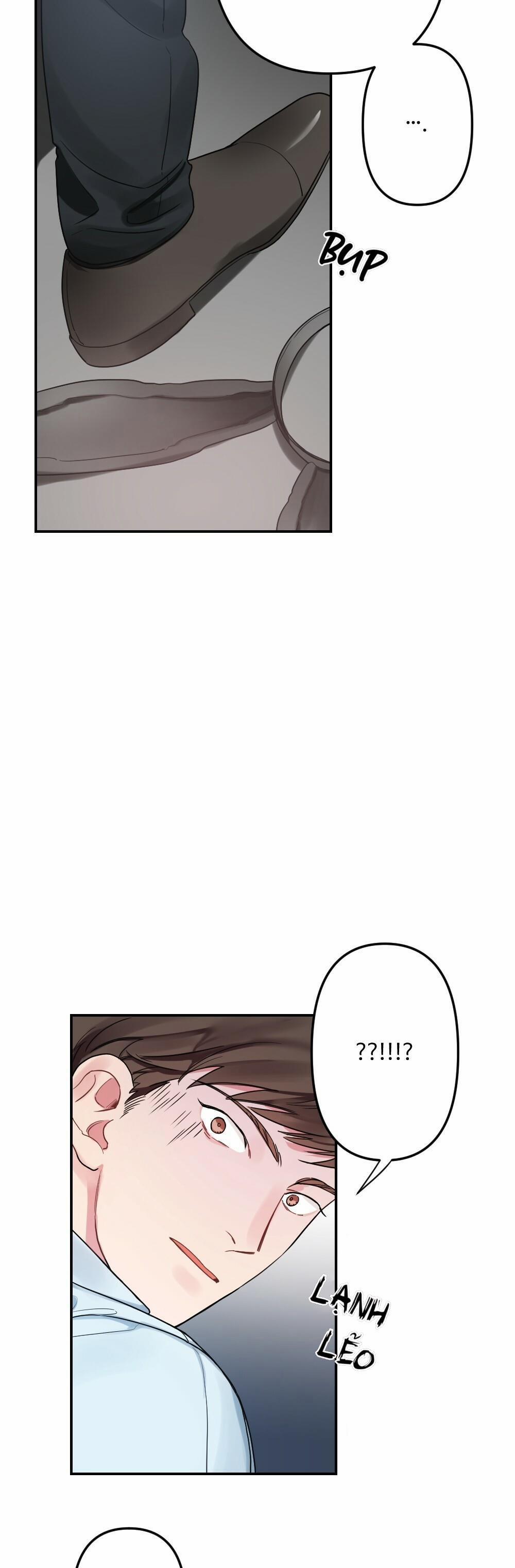 CHĂM SÓC 12 trang 19