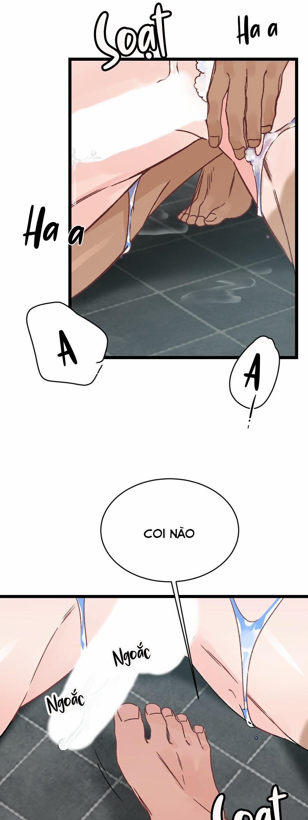 CHĂM SÓC 17 trang 3