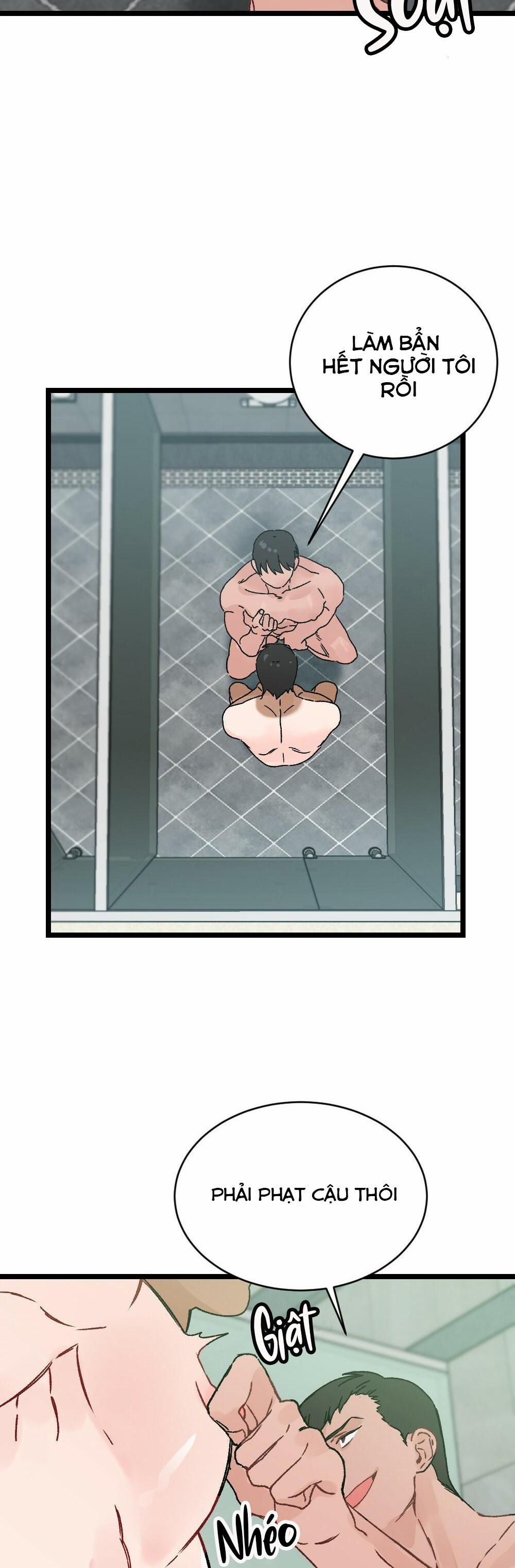 CHĂM SÓC 17 trang 4