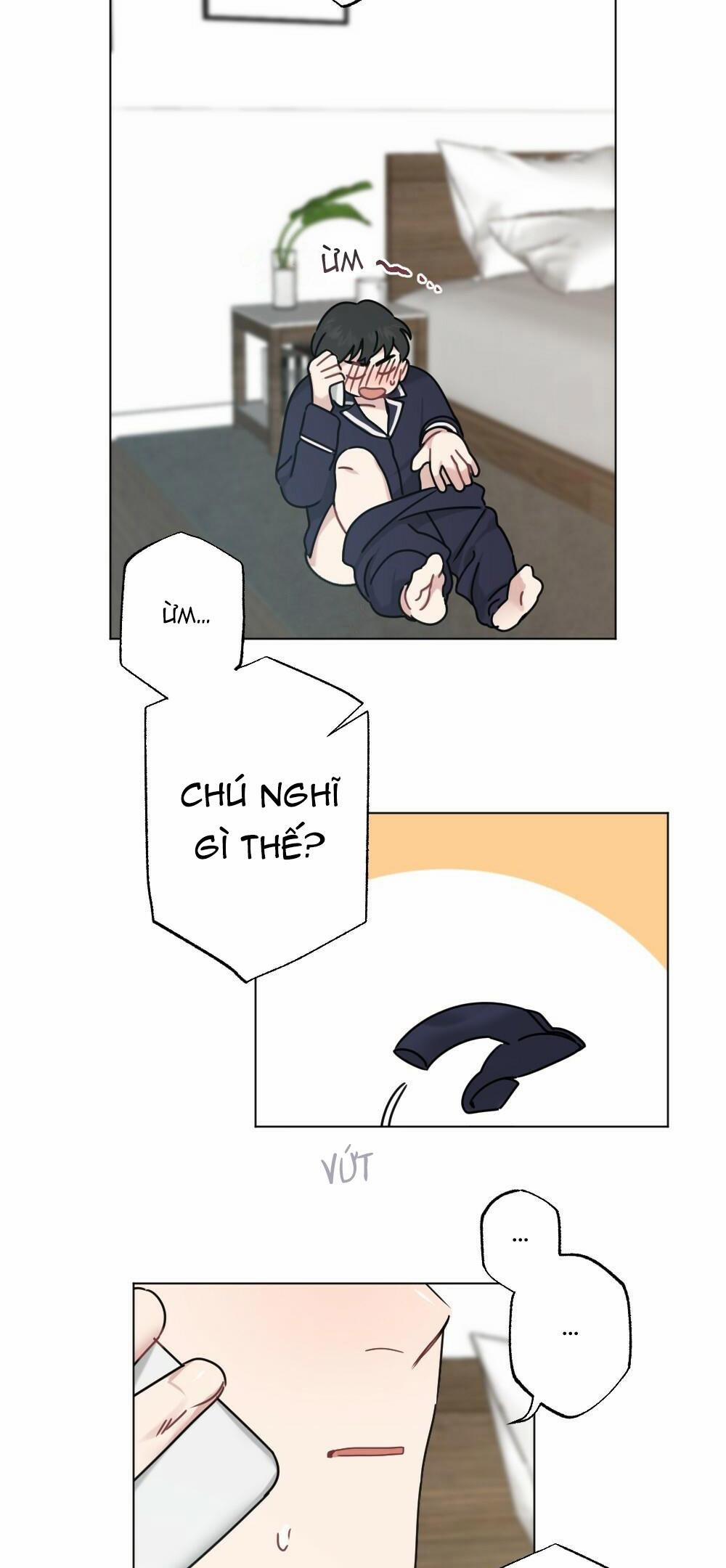 CHĂM SÓC 28 trang 24