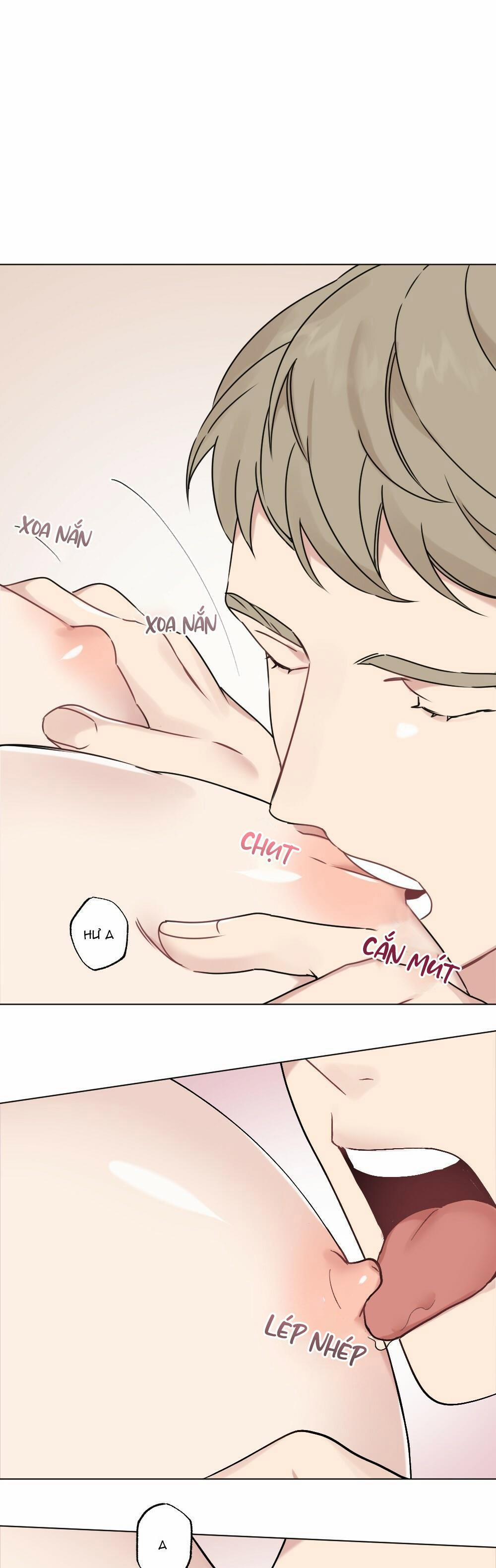 CHĂM SÓC 31 trang 0