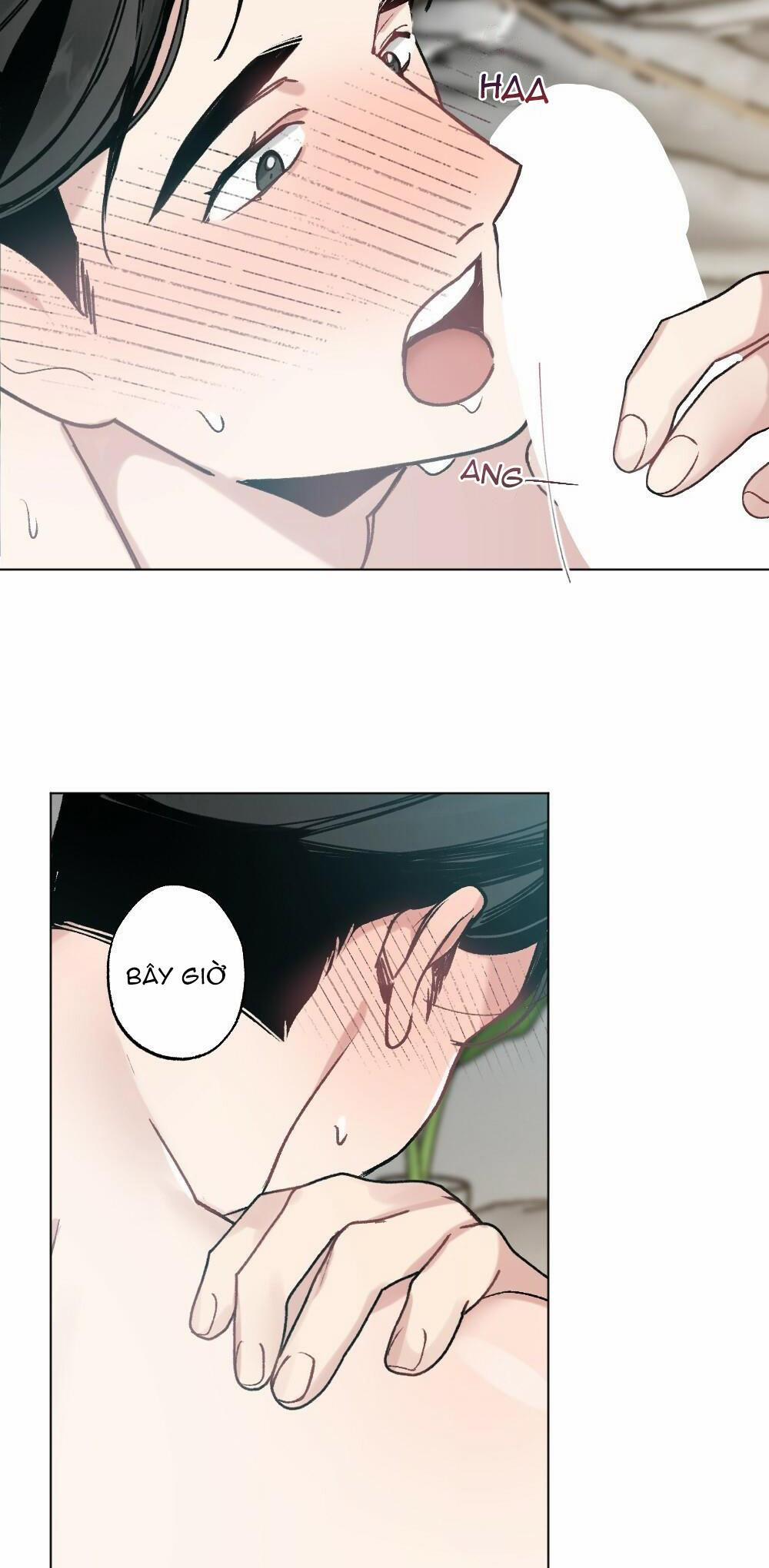 CHĂM SÓC 31 trang 36