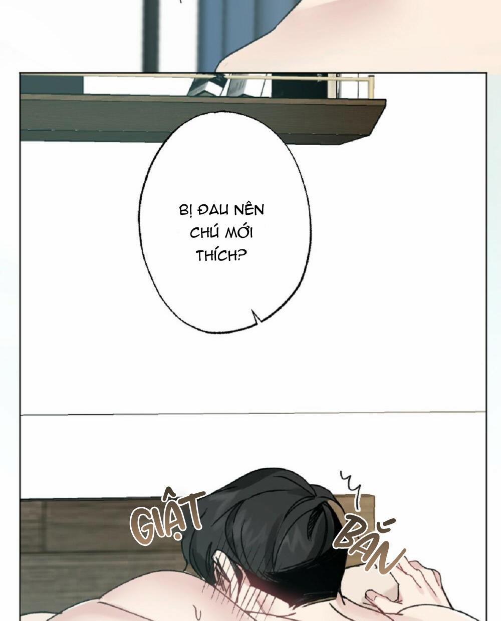 CHĂM SÓC 32 trang 5