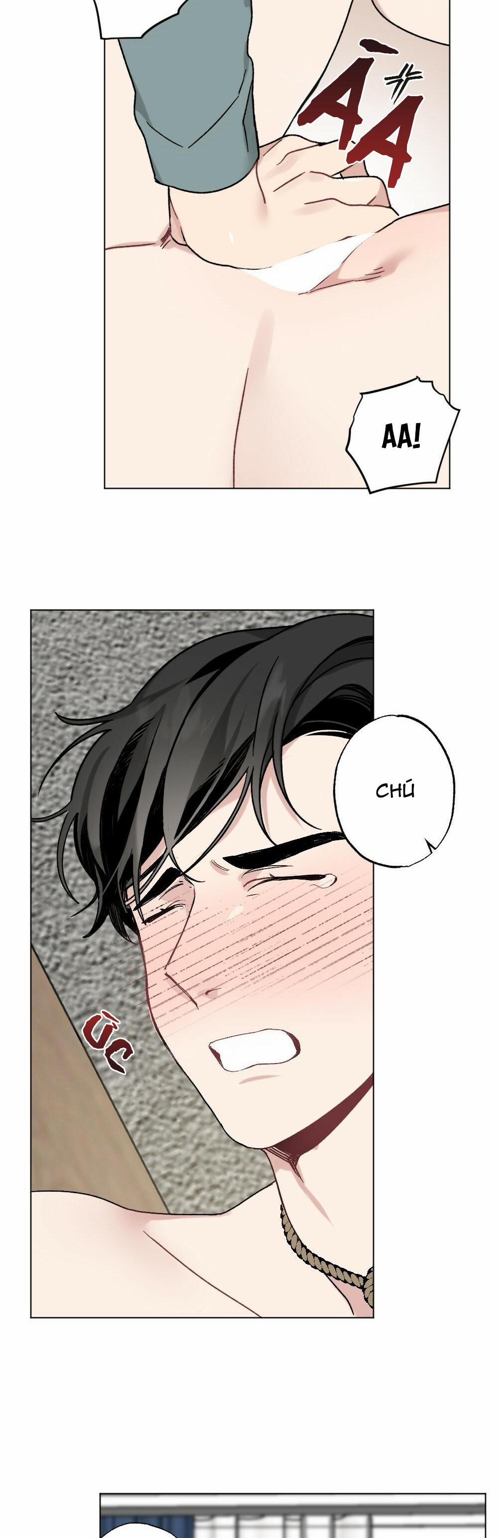 CHĂM SÓC 34 trang 38