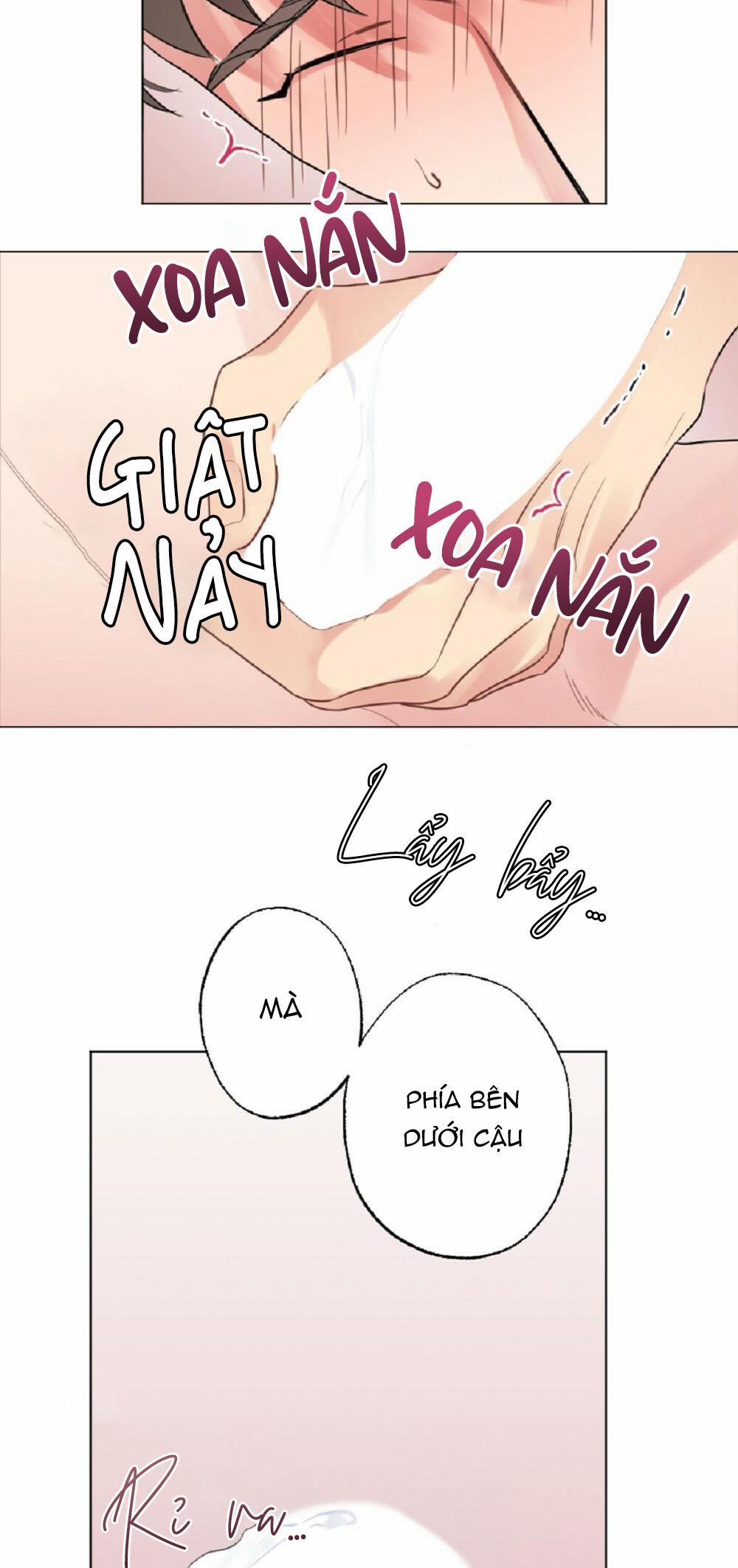 CHĂM SÓC 36 trang 18