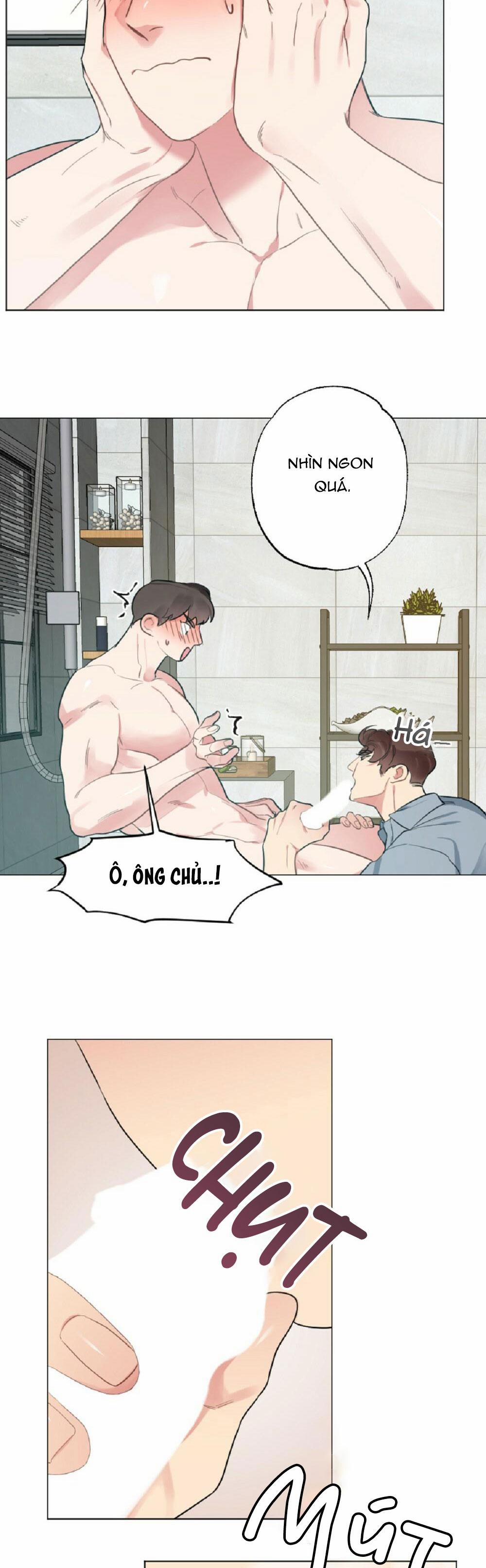 CHĂM SÓC 36 trang 8