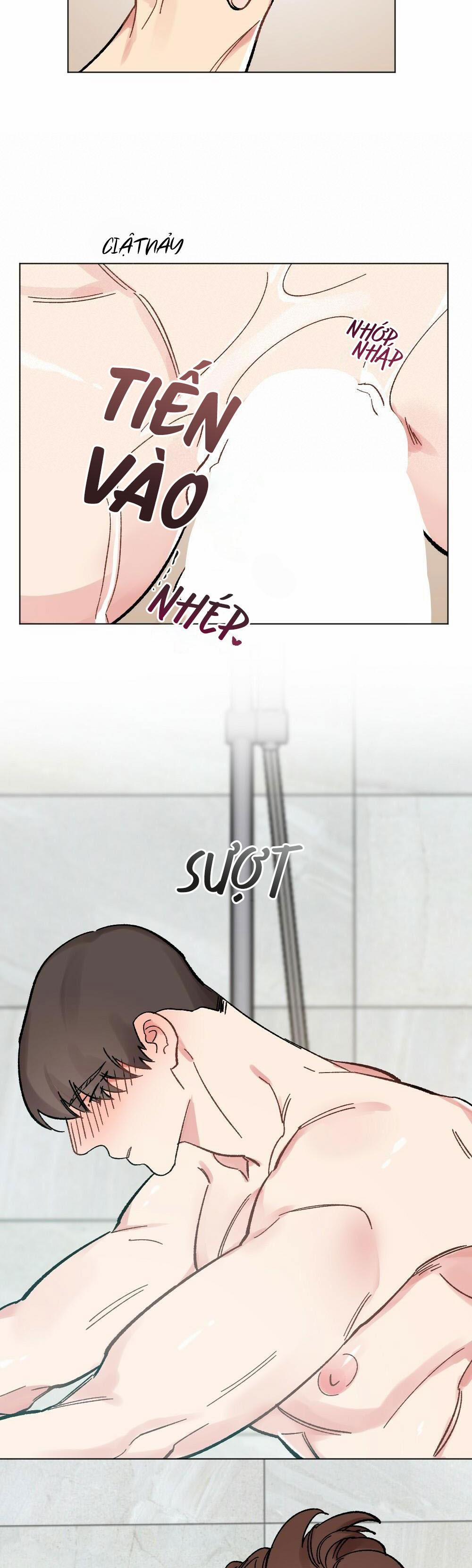 CHĂM SÓC 37 trang 13