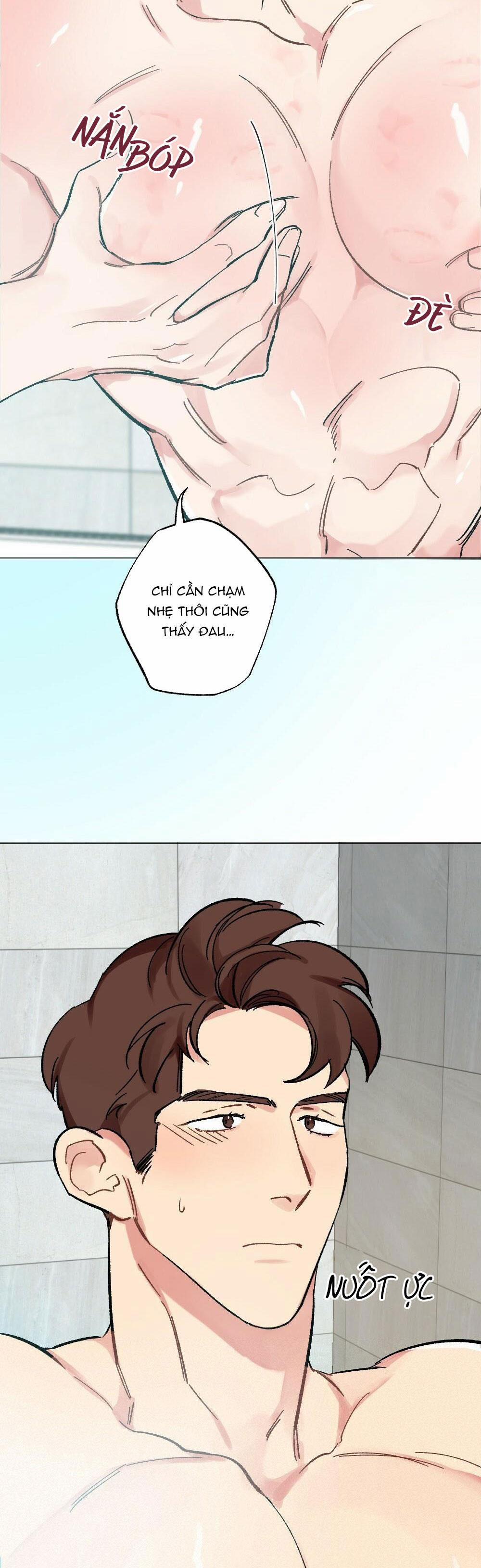 CHĂM SÓC 37 trang 26