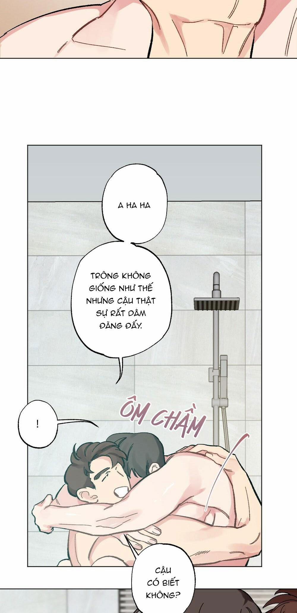 CHĂM SÓC 37 trang 29