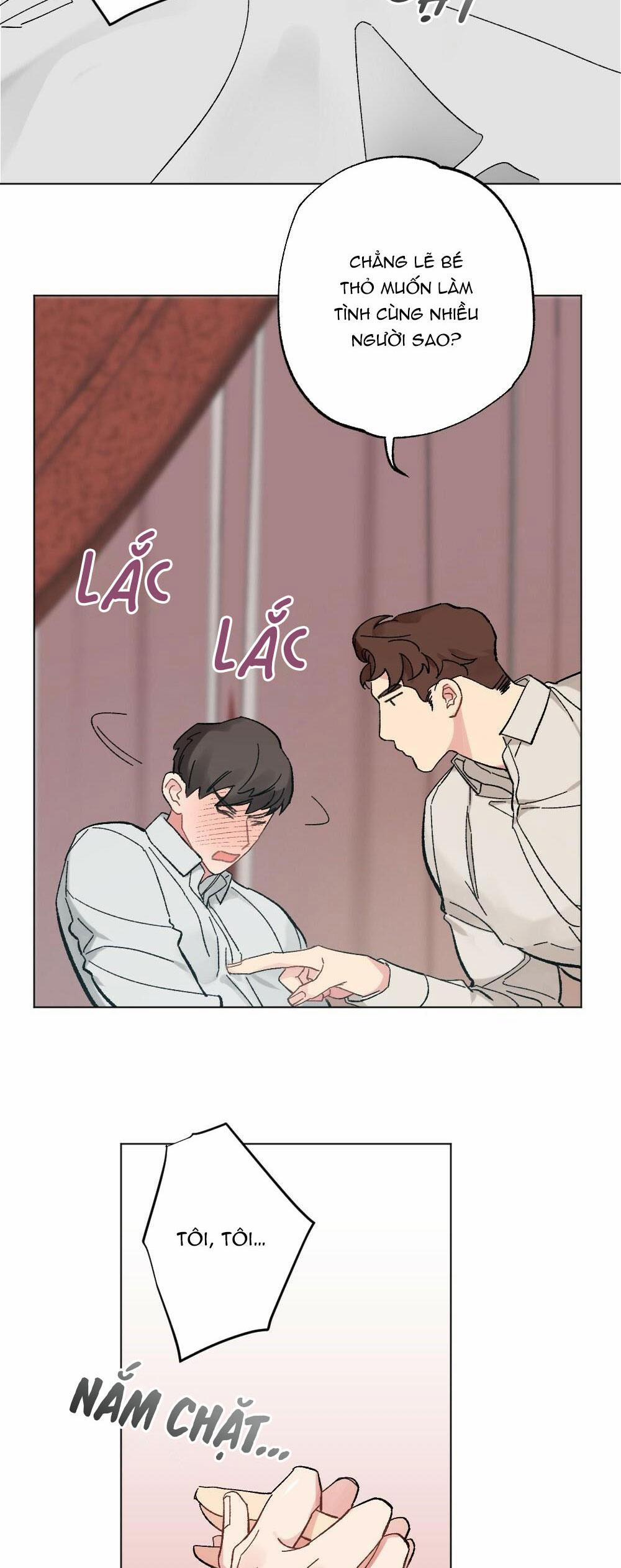 CHĂM SÓC 40 trang 17