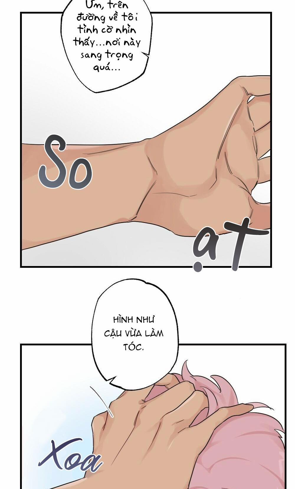 CHĂM SÓC 42 trang 13