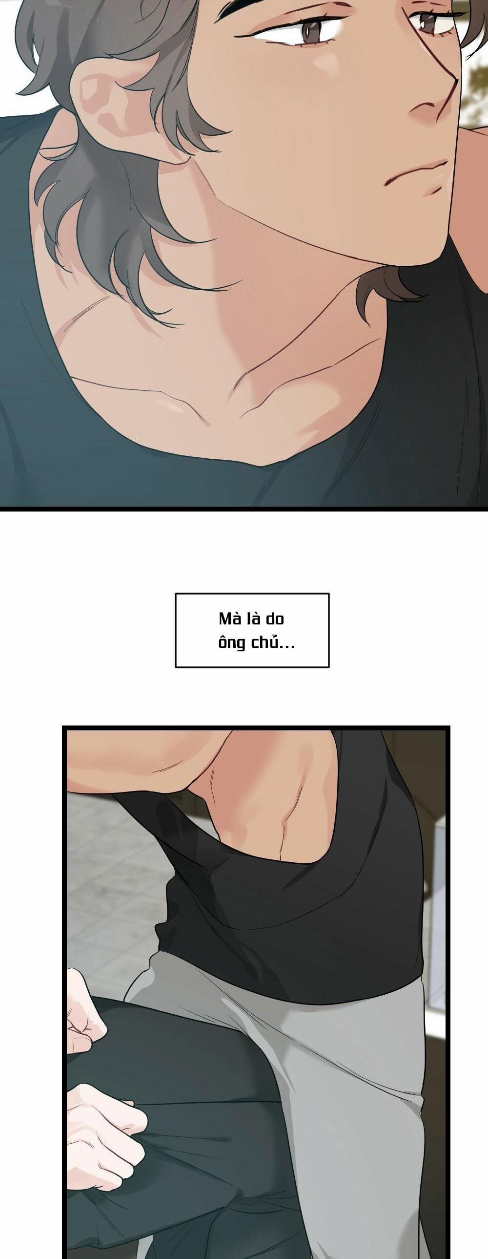 CHĂM SÓC 43 trang 3