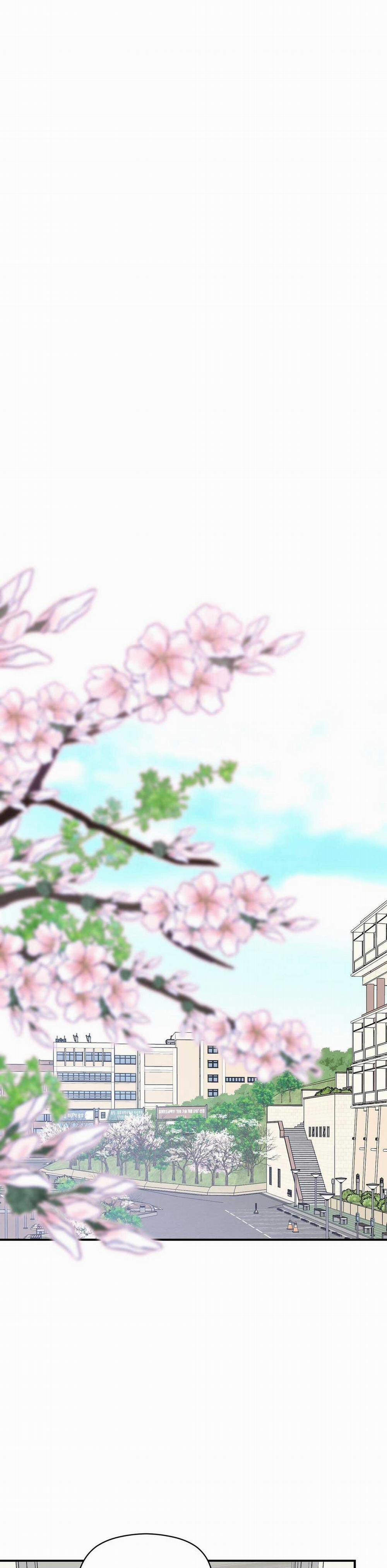 CHẤN THƯƠNG ALPHA 10 trang 24