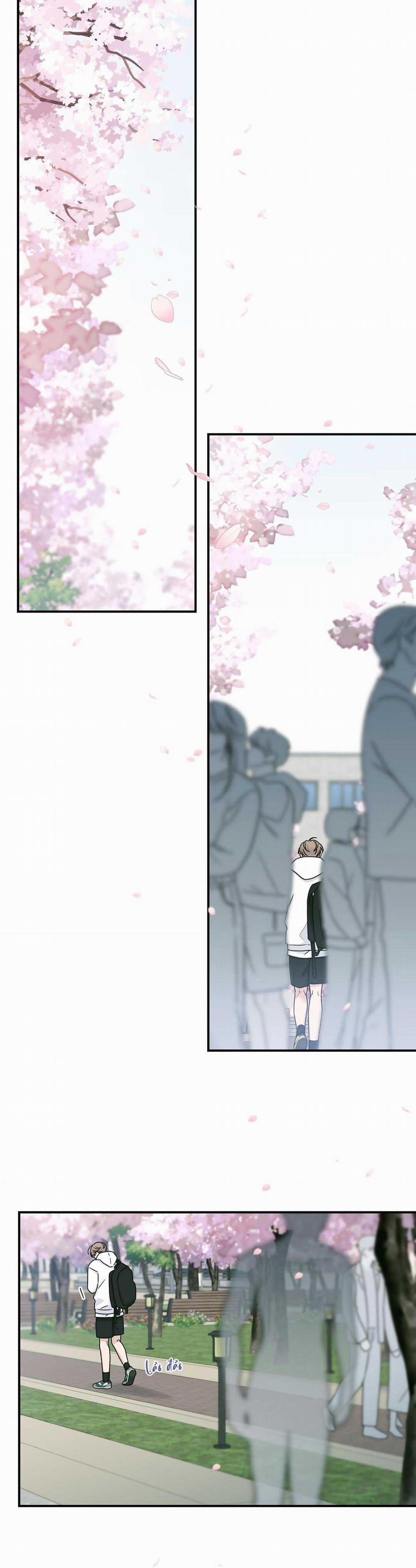 CHẤN THƯƠNG ALPHA 14 trang 0