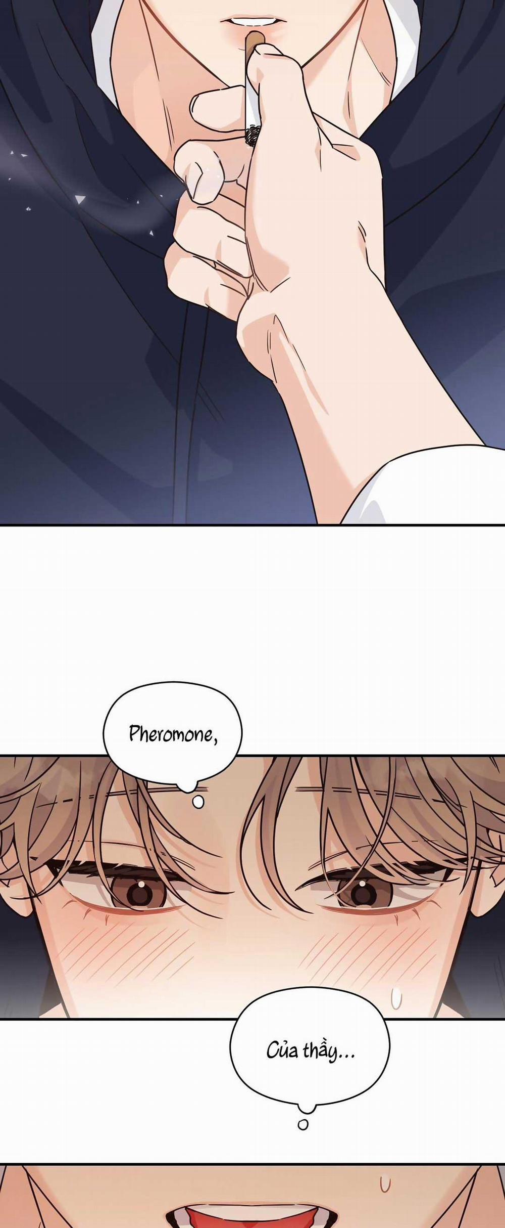 CHẤN THƯƠNG ALPHA 15 trang 24