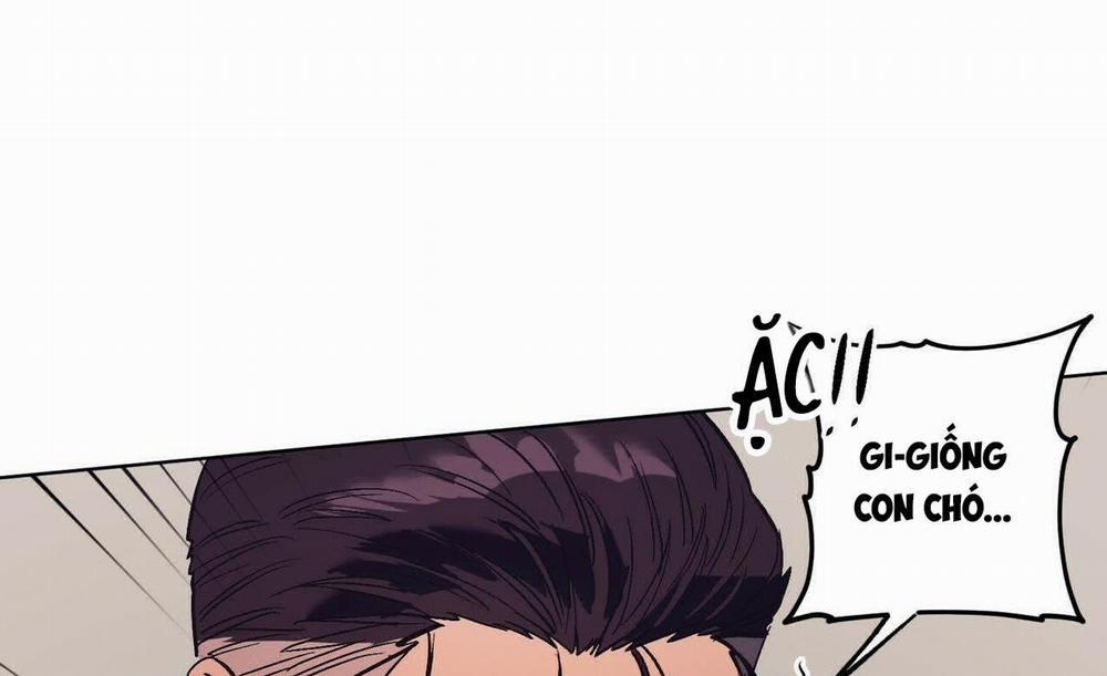 Chàng Dâu Nhà Họ Kang 16 trang 51