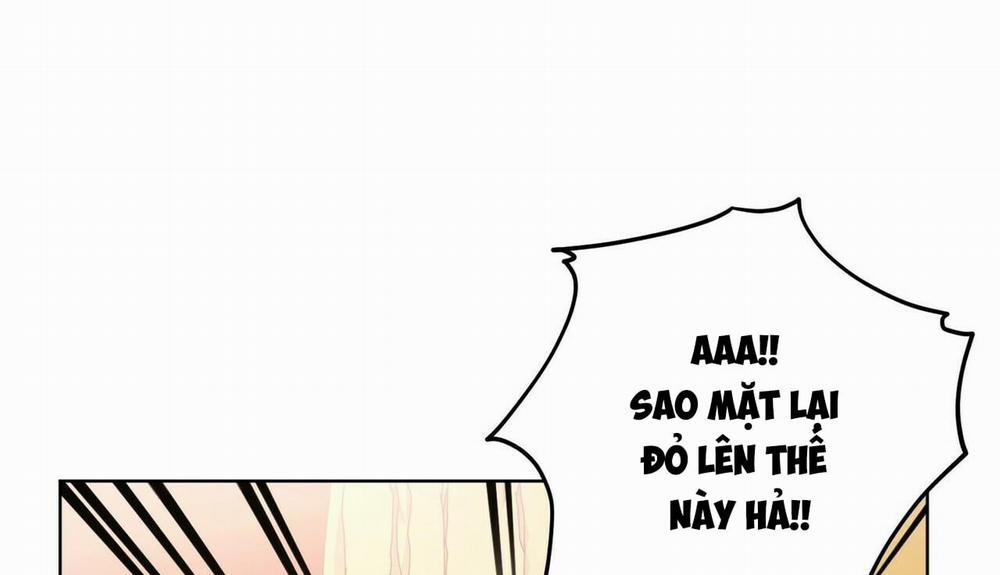 Chàng Dâu Nhà Họ Kang 24 trang 24