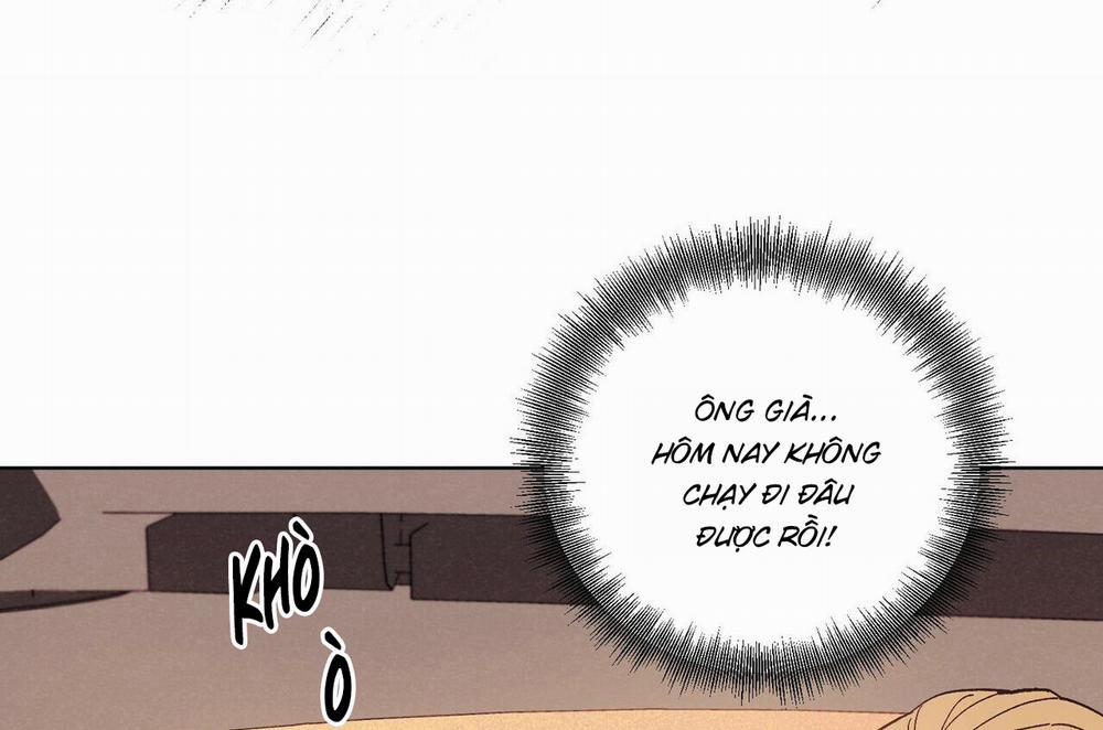 Chàng Dâu Nhà Họ Kang 28 trang 12