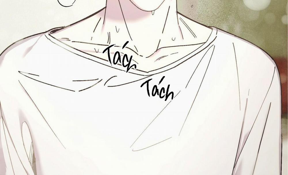 Chàng Dâu Nhà Họ Kang 29 trang 6