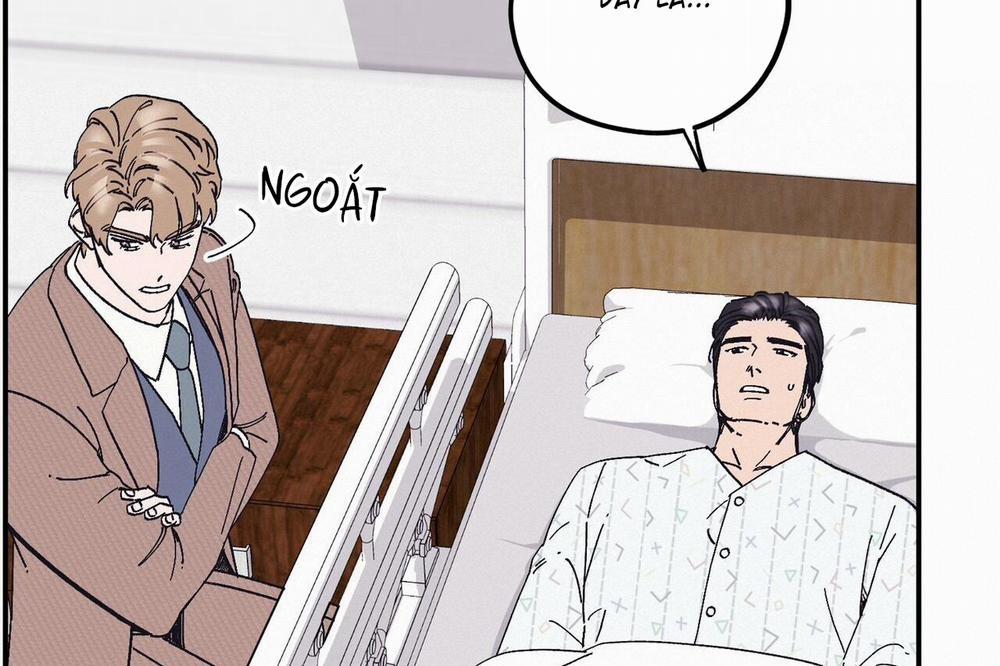 Chàng Dâu Nhà Họ Kang 32 trang 24