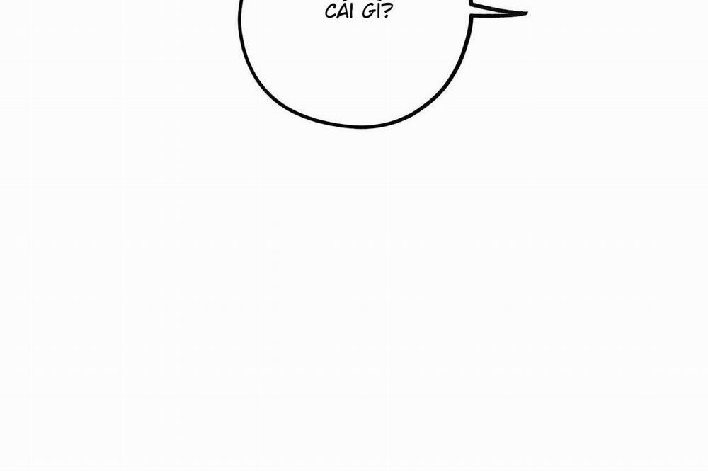 Chàng Dâu Nhà Họ Kang 33 trang 22