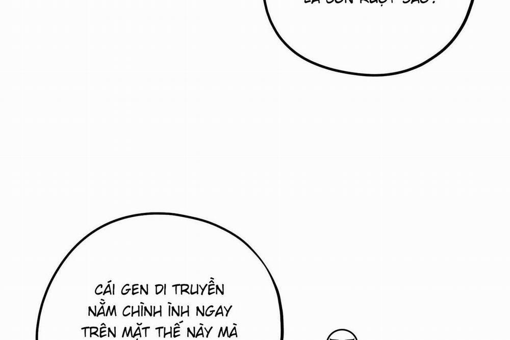 Chàng Dâu Nhà Họ Kang 33 trang 56