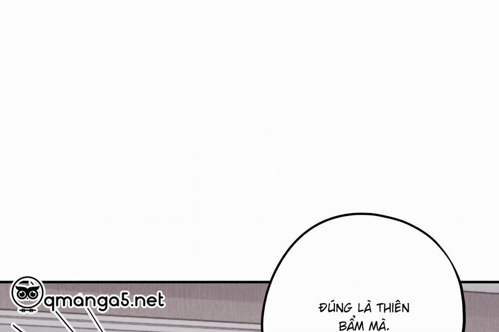 Chàng Dâu Nhà Họ Kang 34 trang 150