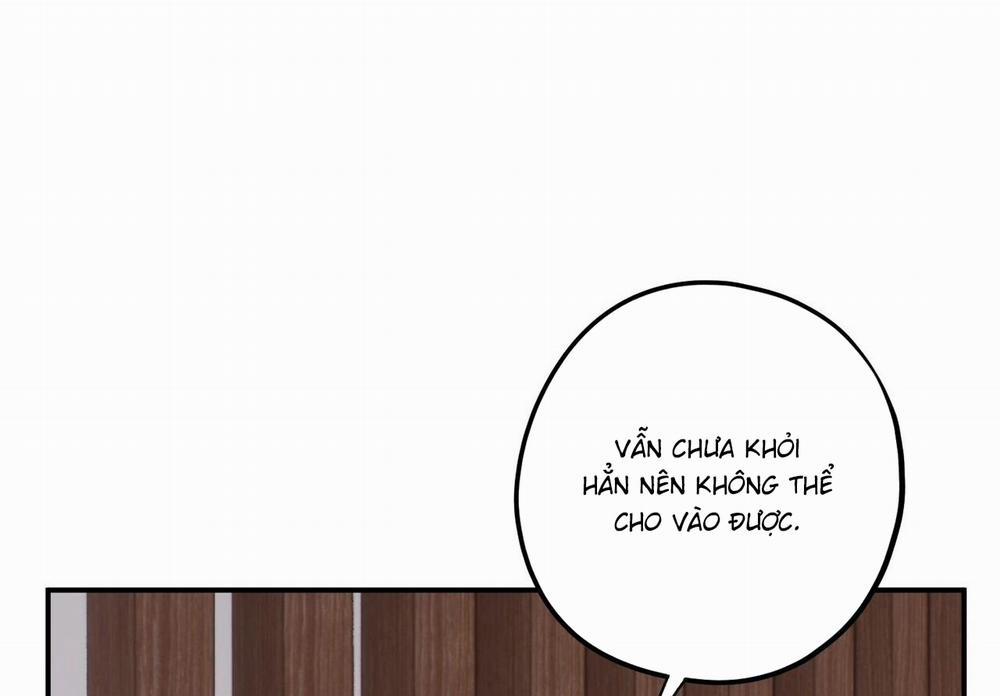 Chàng Dâu Nhà Họ Kang 34 trang 162