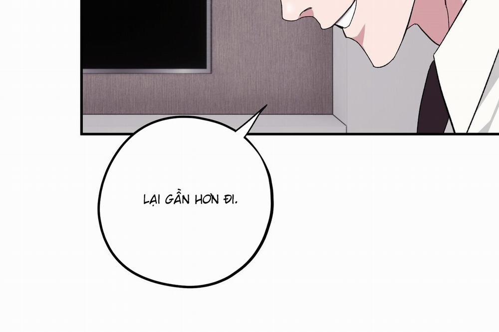 Chàng Dâu Nhà Họ Kang 34 trang 66