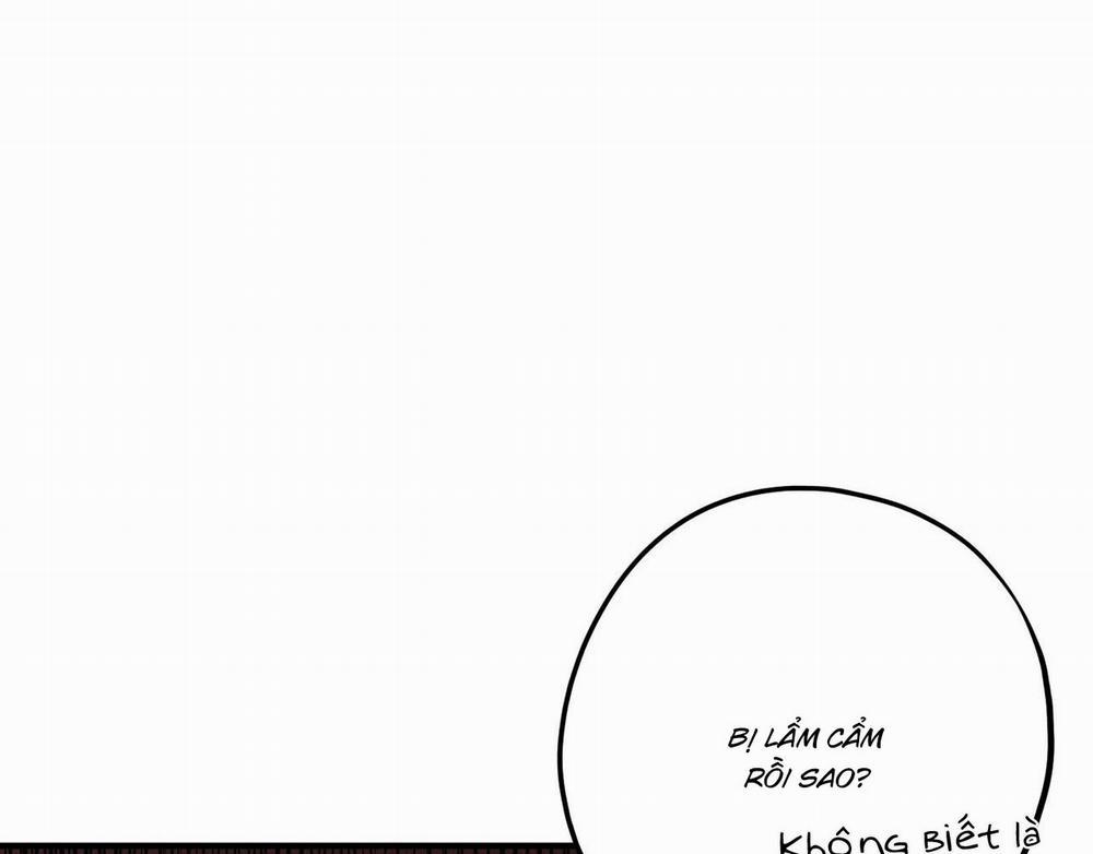 Chàng Dâu Nhà Họ Kang 37 trang 18