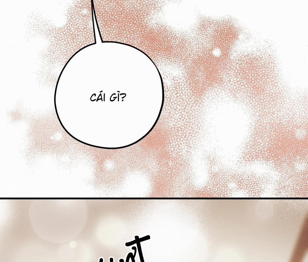 Chàng Dâu Nhà Họ Kang 41 trang 23