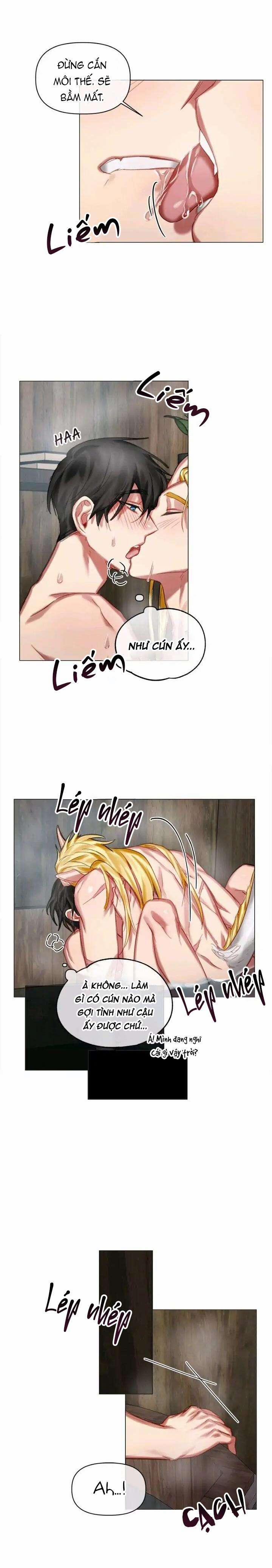 Chàng Hiệp Sĩ Và Rồng Vàng 17 0 17 trang 5