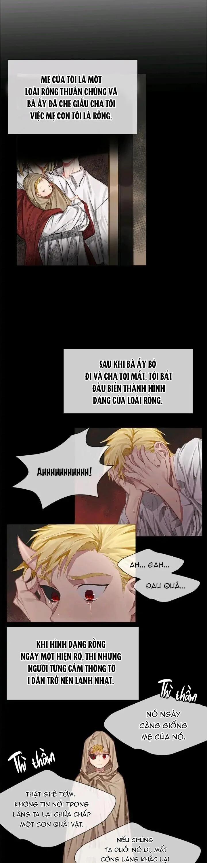 Chàng Hiệp Sĩ Và Rồng Vàng 2 trang 4