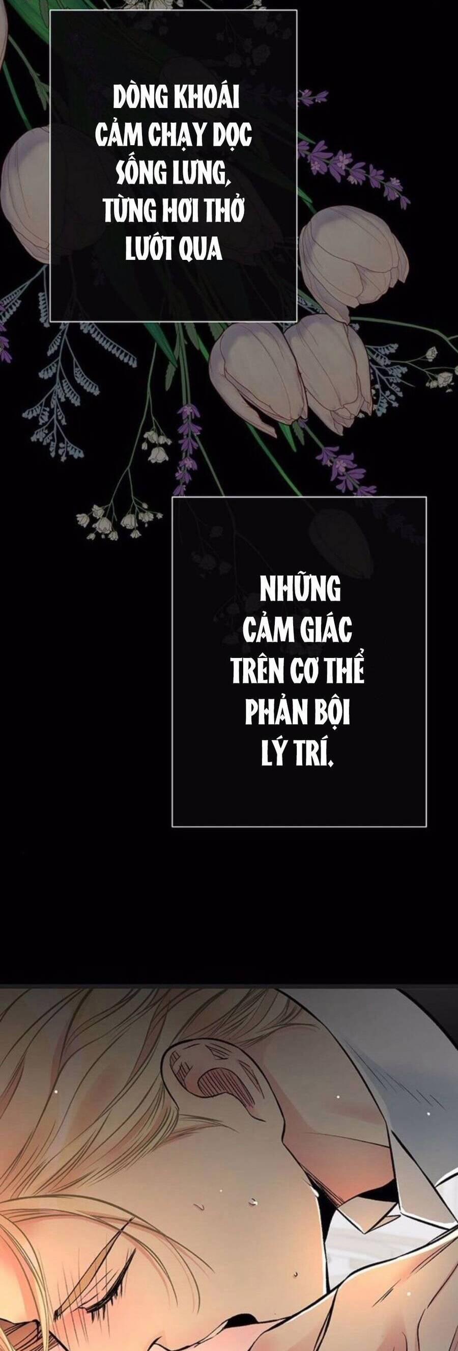 Chàng Hoàng Tử Này Có Vấn Đề 47.1 trang 3