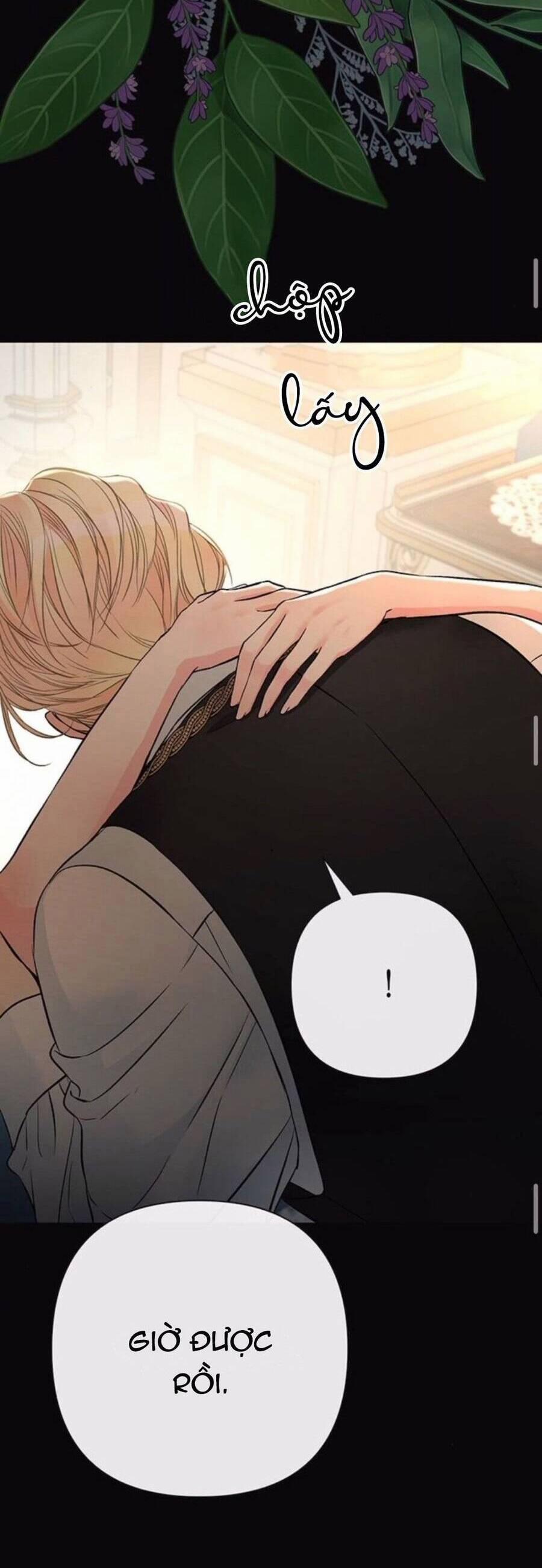 Chàng Hoàng Tử Này Có Vấn Đề 47.2 trang 5