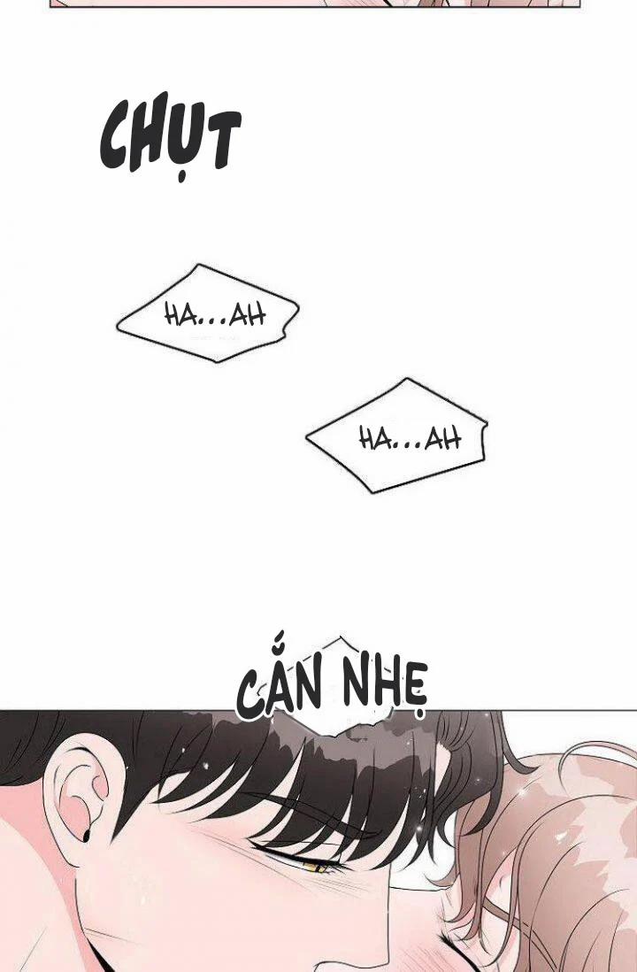 Chàng Mèo Của Tôi 1.1 trang 1