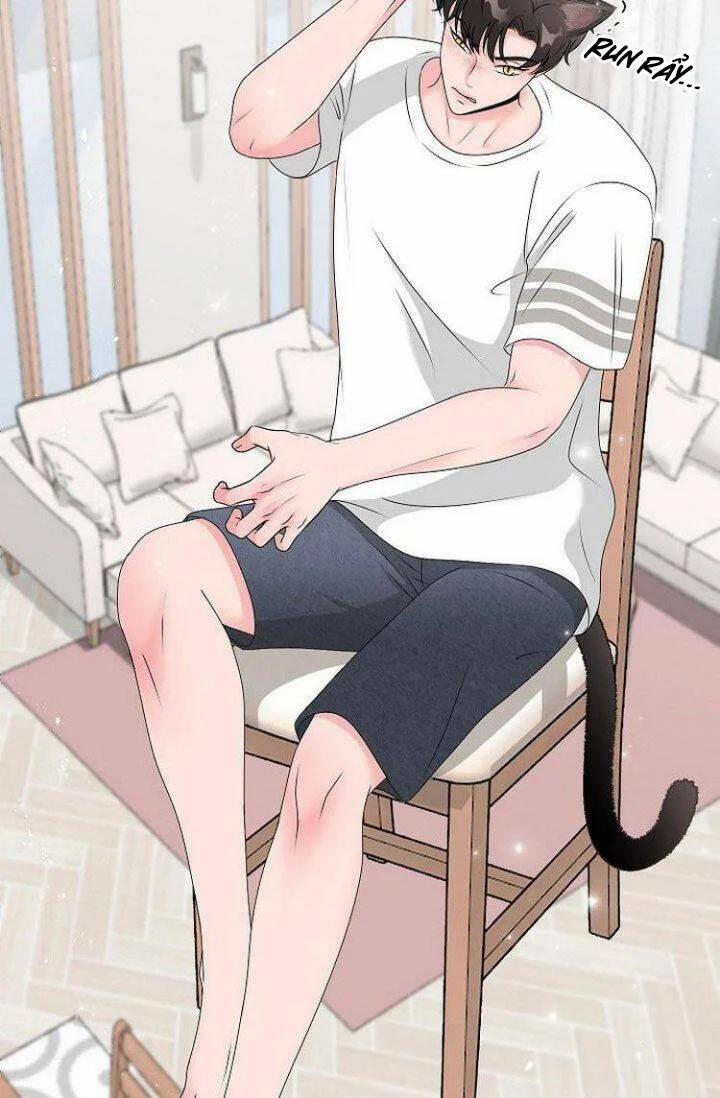 Chàng Mèo Của Tôi 1.1 trang 17