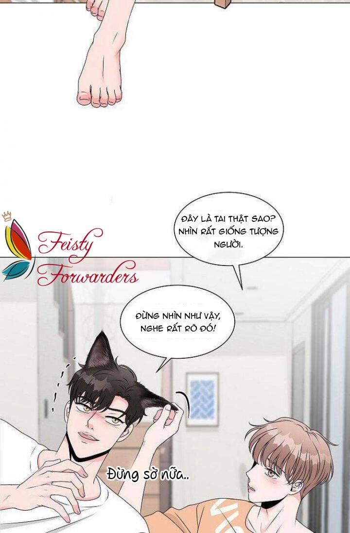 Chàng Mèo Của Tôi 1.1 trang 18