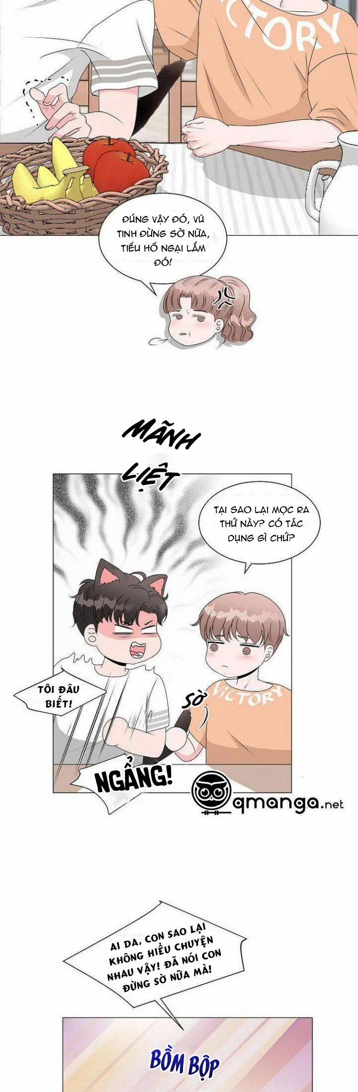 Chàng Mèo Của Tôi 1.1 trang 19