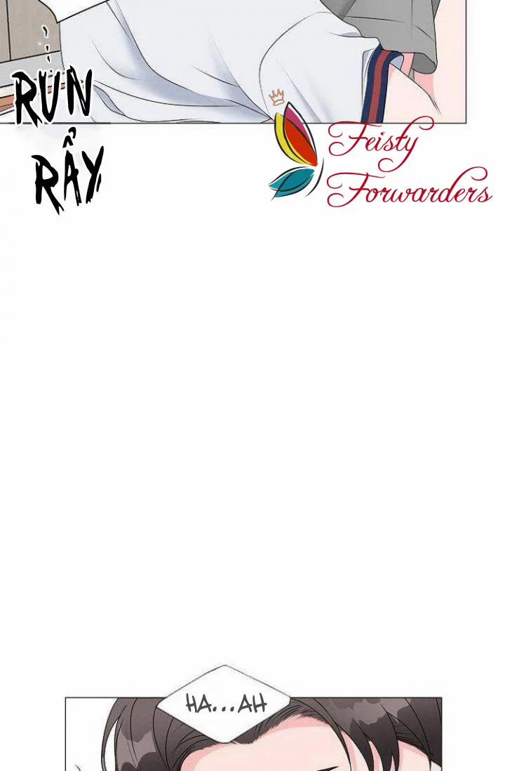 Chàng Mèo Của Tôi 1.1 trang 3